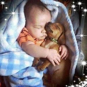 Meet your Posher, Jerry